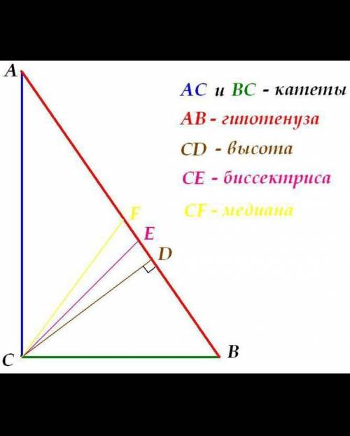 Постройте прямоугольный треугольник и проведите биссектрису одного из острых углов и серединный перп