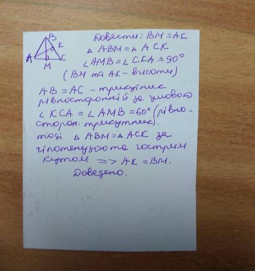 Доведіть що в рівносторонньому трикутнику дві довільні висоти рівні треба