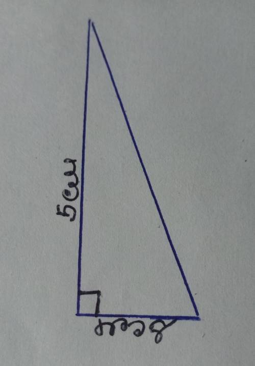 Построй прямоугольный треугольник со сторонами 2 см и 5 см предлагающие к прямому углу​