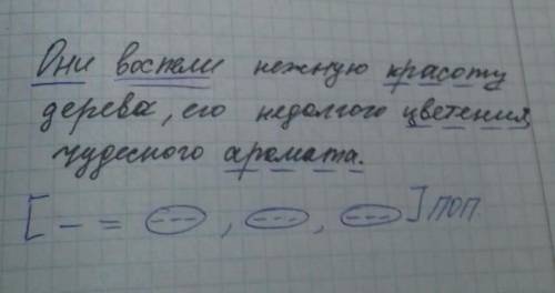 обьясните знаки препинания в предложении: Они воспели нежную красоту дерева, его недолго цветения ,