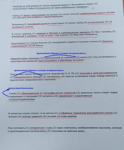 Нужно выделить причастие(волнистой линией) и деепричастие (_._._._._) и где в скобках цифры запятые