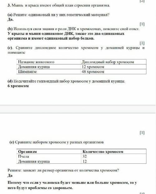 3 Мышь и крыса имеют общий план строения организма. (а) Решите: одинаковый ли у них генетический мат