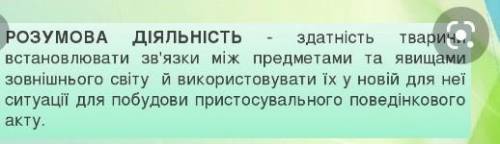 НАПИСАТИ ЩО ТАКЕ РОЗУМОВА ТА ШЛЮБНА ПОВЕДІНКА ССАВЦІВ