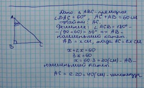 Один из углов треугольника равен 60 градусов.сумма гипотенузы и меньшего катета равна 60 см.найдите