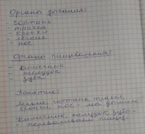 Распределите понятия на две группы, дай название каждой группе. кишечник, бронхи, трахея, гортань, л