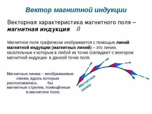 ￼￼чем является вектор магнитной индукции по отношению к линиям магнитной индукции?