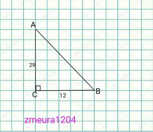 Дан треугольник прямоугольный АВС АС=29СВ=12Угол С =90НАЙТИ: cos A. Sin A. Tg A. Ctg A