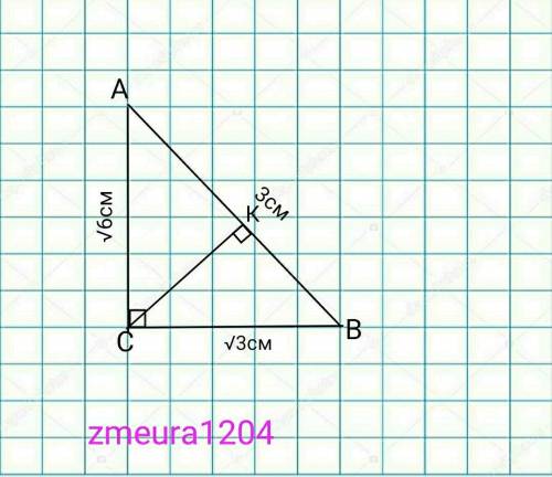 Катети прямокутного трикутника дорівшюють √3 см і √6 см. Знайдіть іх проекції на гіпотенузу, якщо гі