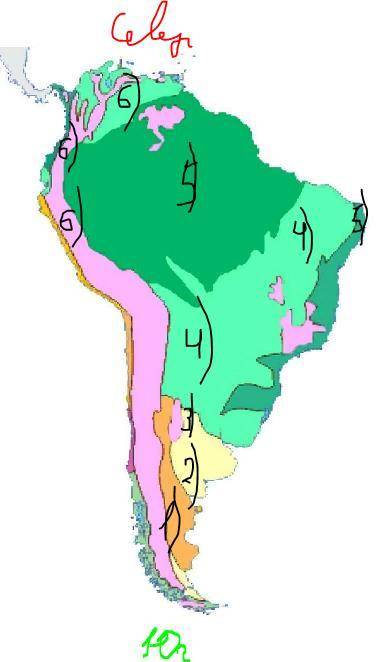 Напишите последовательность смены природных зон Южной Америки с юга на север​
