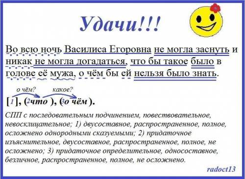 Во всю ночь Василиса Егоровна не могла заснуть и никак не могла догадаться, что бы такое было в голо