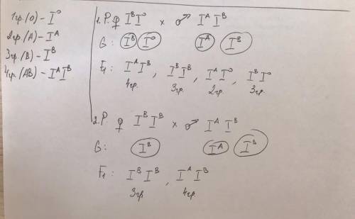 у отца 4 группа крови у матери 3 группа крови определите возможные группы крови детей РАССМОТРЕТЬ ПО