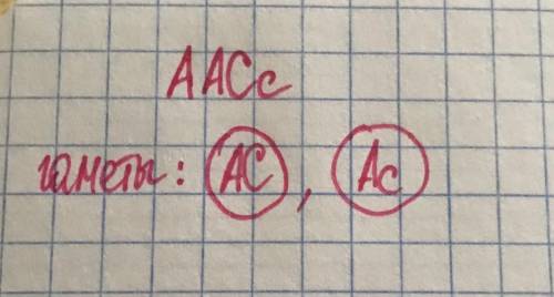 Гетерозиготный по одной паре признаков организм (ААCc) может образовать два разных типов гамет . нап
