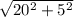 \sqrt{20^2+5^2}