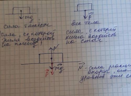 На горизонтальной поверхности стола стоит книга. Он подвергается действию силы тяжести и силы упруго