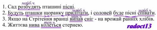 Вправа підкреслити у реченні дієслова до якого часу належать ? Підкреслити граматичну основу у речен