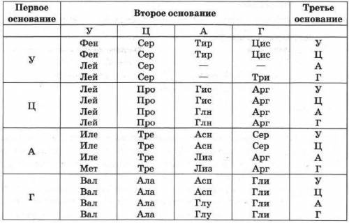 Молекулы ДНК содержит следующие нуклеотиды Ц Т Г А Г Т Ц Г А А Ц А А Ц А А Ц Г Произошла замена 8 ну