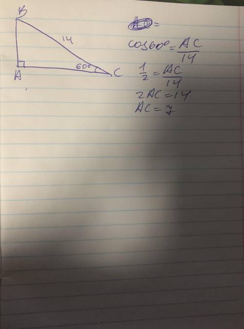 У прямокутному трикутнику гострий кут дорівнює 60°, а гіпотенуза - 14см. Знайти катет, що прилягає д