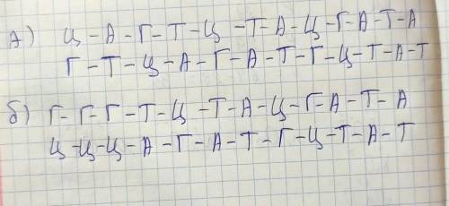 На фрагменте одной цепи ДНК нуклеотиды расположены в последовательности: А) Ц - А - Г - Т - Ц - Т -