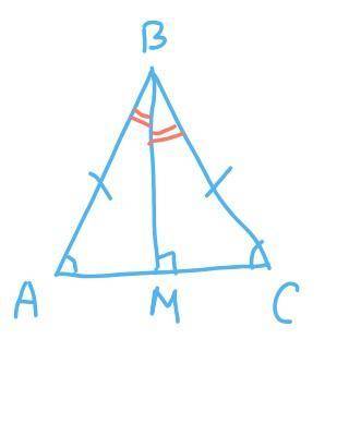 4. У трикутнику ABC кути А і С рівні, BM — высота. Доведіть, що триугольник АВМ= триугольнику СВМ по