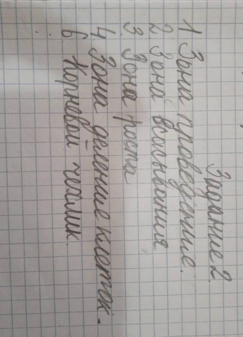 Задание 2. Как оформлять ответы на задания по работе с рисунками по биологии Рассмотрите схему строе