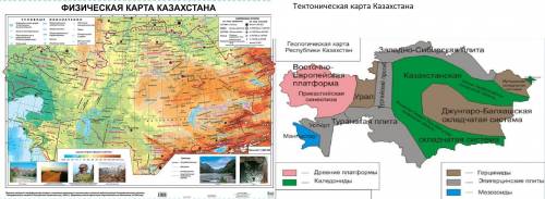 Сравните физическую и тектоническую карты атласа, определите, каким тектоническим структурам соответ