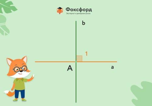 Чем они отличаются между собой параллельные и перпендикулярные прямые?