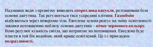 6 клас біологія зошит з практичних робіт