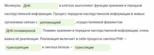 (там, где ___ - нужно вставить слово.) Молекулы 1.___(а-белков, б- углеводов, в- ДНК, г- РНК) в клет