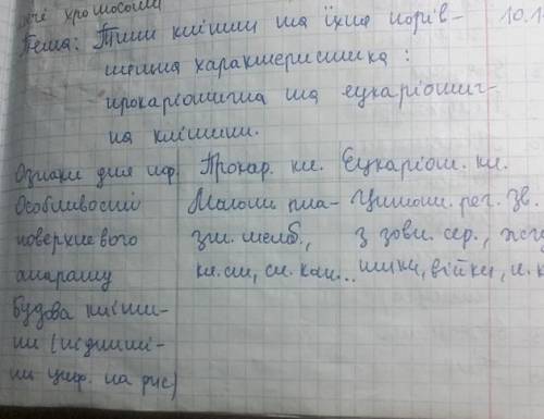 пояснити риси подібності та відмінності в прокаріотичних та еукаріотичних клітинах