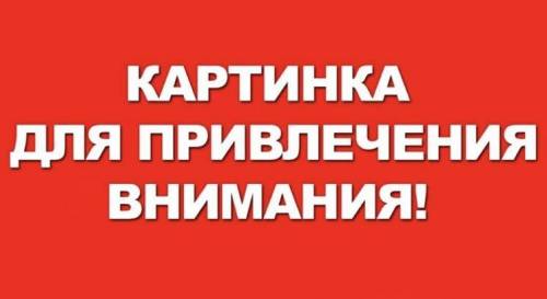 Написать 8 предложений и сделать разбор членов предложения