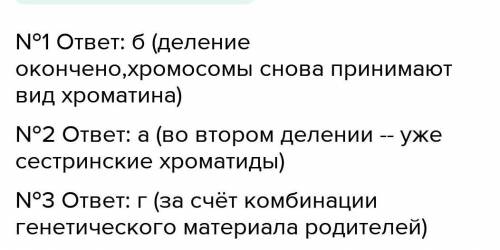 Деспирализация хромосом происходит в:  а)интерфазе, б) профазе, в)метафазе, г)телофазе.