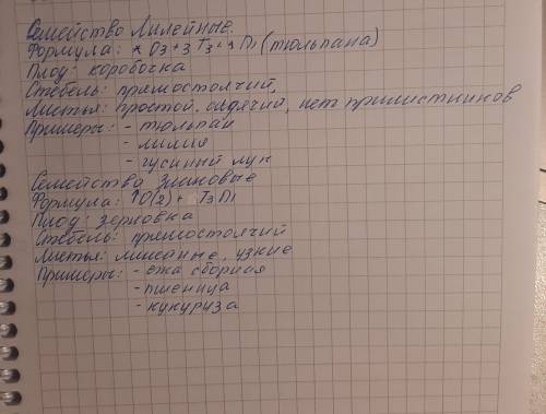 . Класс Однодольные. Семейство Лилейные и Семейство Злаковые. Формула цветка, плод, стебель, листья,