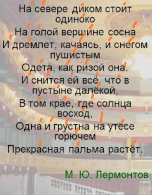 Все ударения в стихотворении На севере диком