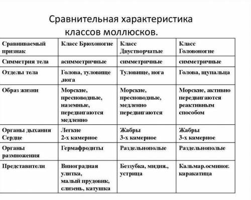 Классы моллюсков таблица 7 класс брюхоногие двухсторонние головоногие