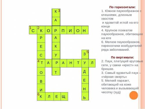 составить кроссворд ю на тему Членистоногие