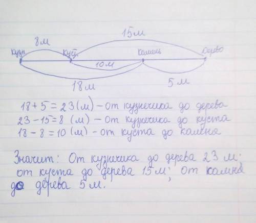 Кузнечик, куст, камень и дерево находятся на прямой тропе. Сумма расстояний от кузнечика до камня и