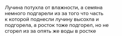 В две банки насыпали семена гороха, в одной банке семена смочили, а в другой оставили сухими. Обе ба