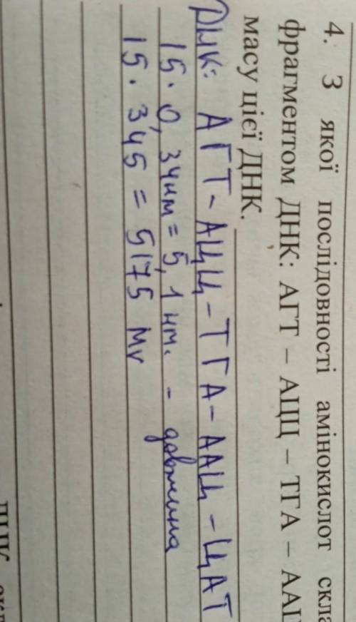 - 4. З якої послідовності амінокислот складається білок, закодований фрагментом ДНК: АГТ – АЦЦ – ТГА
