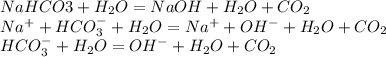 NaHCO3+H_2O=NaOH+H_2O+CO_2\\Na^++HCO_3^-+H_2O=Na^++OH^-+H_2O+CO_2\\HCO_3^-+H_2O=OH^-+H_2O+CO_2