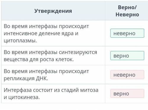 Определи верные и неверные утверждения.