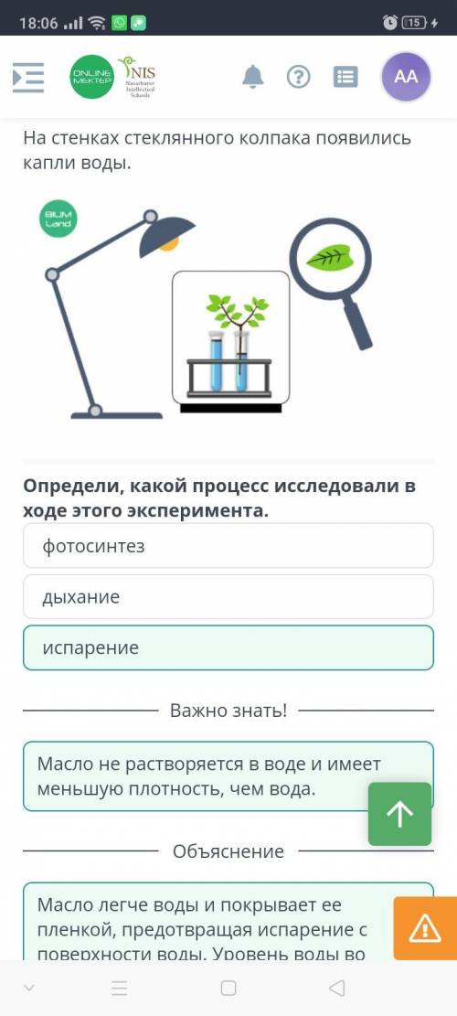 Продукты выделения у растений: начальные и конечные продукты фотосинтеза и дыхания. Лабораторная раб