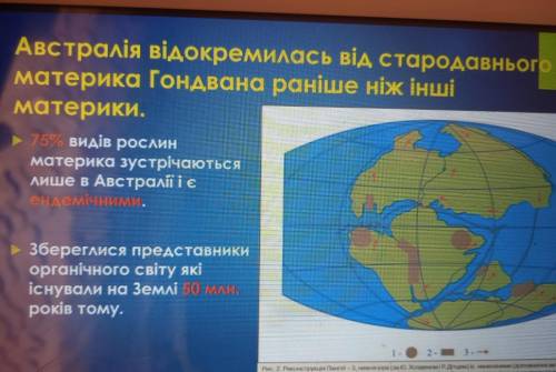 Представникт рослин і тварин кожної природної зони Австрал