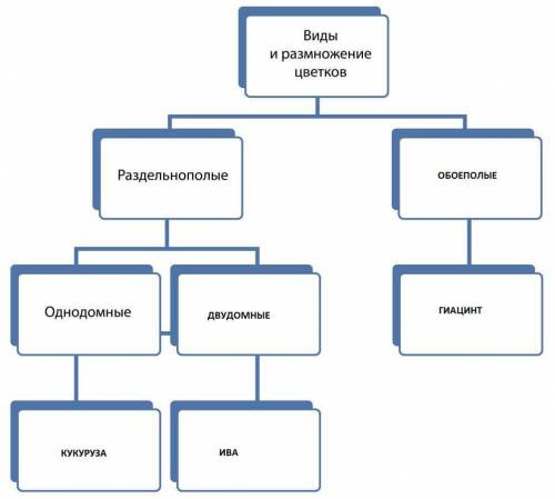 Задание 3 ( ). Как выполнять задания по работе с текстом и дополнительными источниками по биологии З