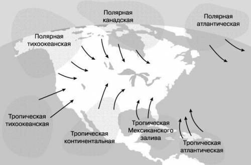 4и 5 вопрос молю вас. 13 , нету (