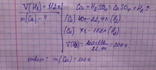 Какая масса кальция вступит в реакцию с серной кислотой если выделится 112 л водорода