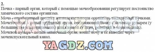 Написать конспект по биологии 7 класс латюшин параграф 42. органы выделения.