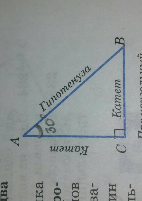 Свойство прямоугольного треугольника. как понять - в прямоугольном треугольнике катет лежащий на про