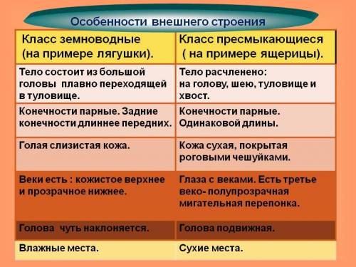 Нужно сделать сравнительную характеристику лягушки и ящерицы. 1. язык 2. хвост 3. шея 4. конечности 