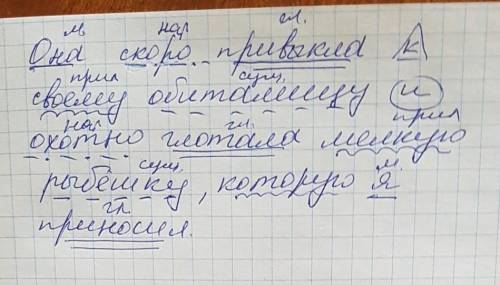 Разобрать предложение по членам предложения .она скоро привыкла к своему новому обиталищу и охотно г