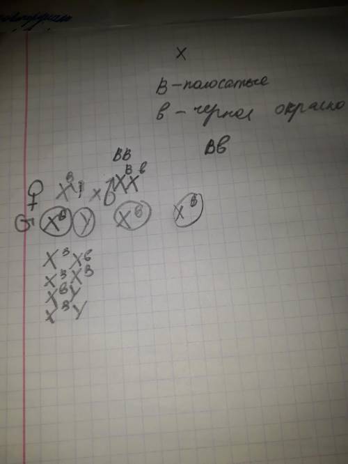 Хэлп с по биологии(19,отмечена) зарание : *